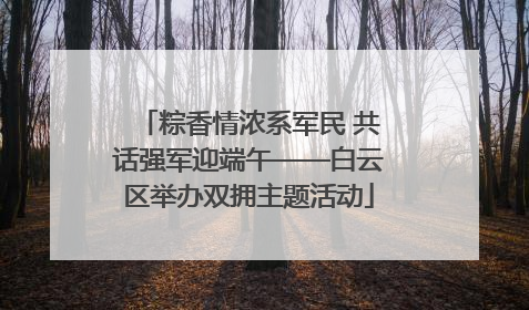 粽香情浓系军民 共话强军迎端午——白云区举办双拥主题活动