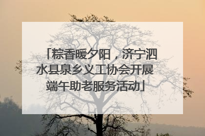 粽香暖夕阳，济宁泗水县泉乡义工协会开展端午助老服务活动