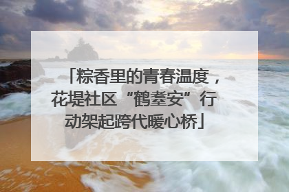 粽香里的青春温度，花堤社区“鹤耋安”行动架起跨代暖心桥
