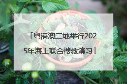 粤港澳三地举行2025年海上联合搜救演习