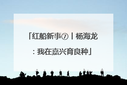 红船新事⑦丨杨海龙：我在嘉兴育良种