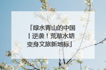 绿水青山的中国丨逆袭！荒草水塘变身文旅新地标