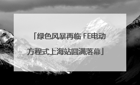 绿色风暴再临 FE电动方程式上海站圆满落幕