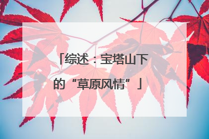 综述：宝塔山下的“草原风情”