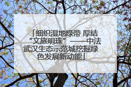细织湿地绿带 厚结“文旅明珠”——中法武汉生态示范城挖掘绿色发展新动能