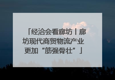 经洽会看廊坊丨廊坊现代商贸物流产业更加“筋强骨壮”