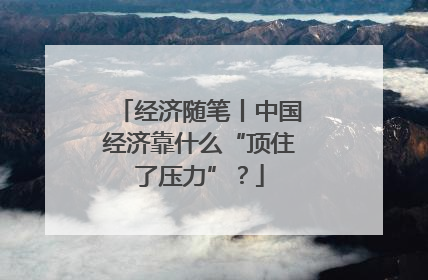 经济随笔丨中国经济靠什么“顶住了压力”？