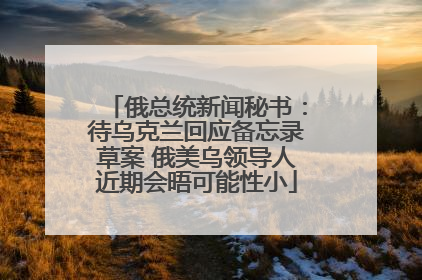 俄总统新闻秘书：待乌克兰回应备忘录草案 俄美乌领导人近期会晤可能性小