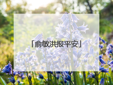 俞敏洪报平安