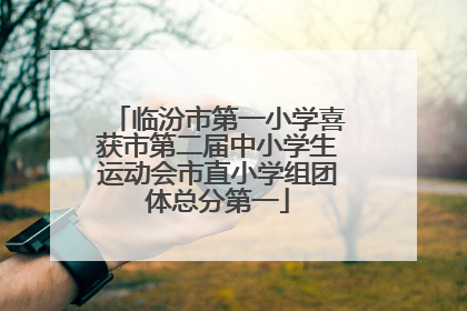 临汾市第一小学喜获市第二届中小学生运动会市直小学组团体总分第一