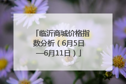 临沂商城价格指数分析（6月5日—6月11日）