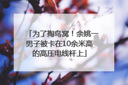 为了掏鸟窝！余姚一男子被卡在10余米高的高压电线杆上
