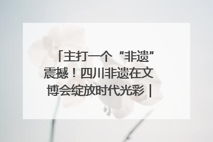 主打一个“非遗”震撼！四川非遗在文博会绽放时代光彩｜文博向“新”