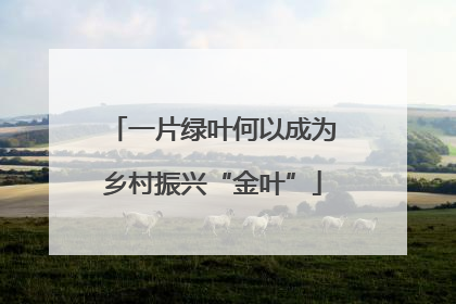 一片绿叶何以成为乡村振兴“金叶”