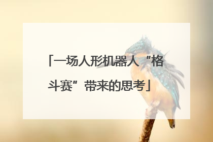 一场人形机器人“格斗赛”带来的思考