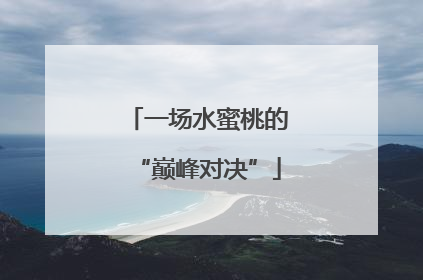 一场水蜜桃的“巅峰对决”
