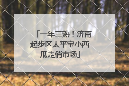 一年三熟！济南起步区太平宝小西瓜走俏市场