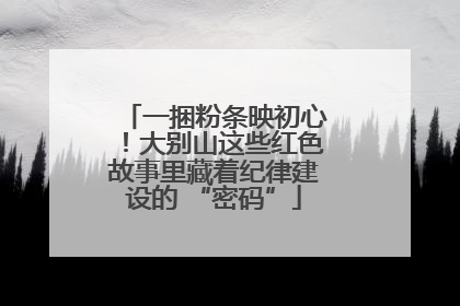 一捆粉条映初心！大别山这些红色故事里藏着纪律建设的 “密码”