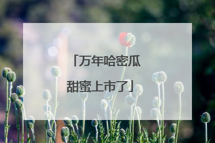 万年哈密瓜甜蜜上市了