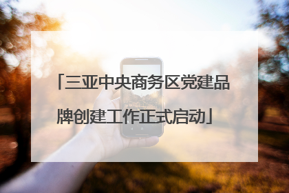 三亚中央商务区党建品牌创建工作正式启动