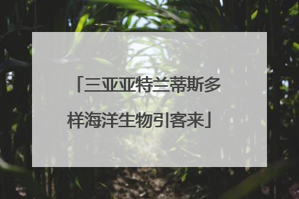 三亚亚特兰蒂斯多样海洋生物引客来
