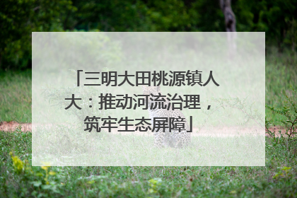 三明大田桃源镇人大：推动河流治理，筑牢生态屏障