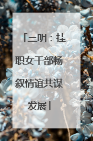 三明：挂职女干部畅叙情谊共谋发展
