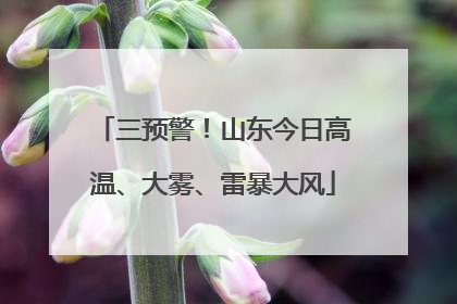 三预警！山东今日高温、大雾、雷暴大风
