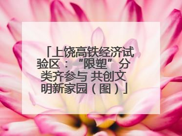 上饶高铁经济试验区：“限塑”分类齐参与 共创文明新家园（图）
