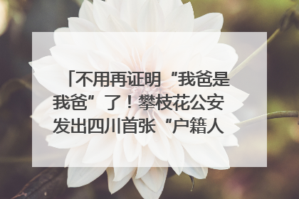 不用再证明“我爸是我爸”了！攀枝花公安发出四川首张“户籍人口直系亲属关系谱”