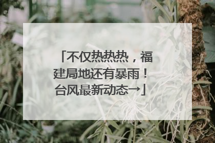 不仅热热热，福建局地还有暴雨！台风最新动态→