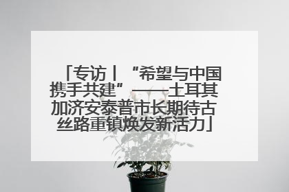 专访丨“希望与中国携手共建”——土耳其加济安泰普市长期待古丝路重镇焕发新活力