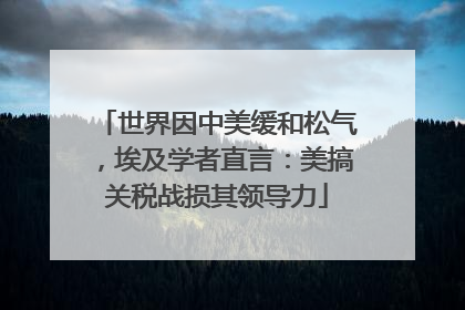 世界因中美缓和松气，埃及学者直言：美搞关税战损其领导力