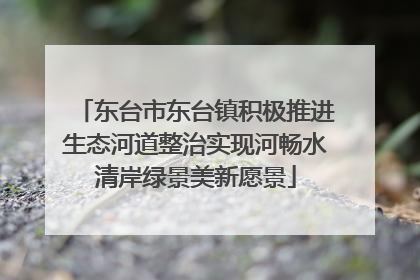 东台市东台镇积极推进生态河道整治实现河畅水清岸绿景美新愿景