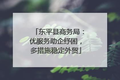 东平县商务局：优服务助企纾困，多措施稳定外贸