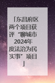 东昌府区两个项目获评“聊城市2024年度法治为民实事”项目