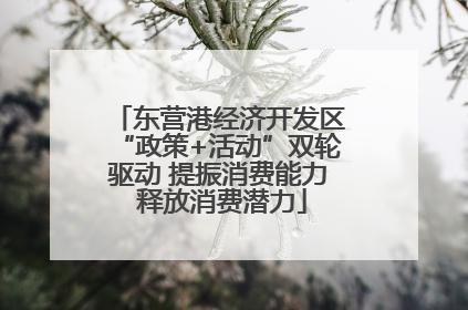 东营港经济开发区“政策+活动”双轮驱动 提振消费能力 释放消费潜力