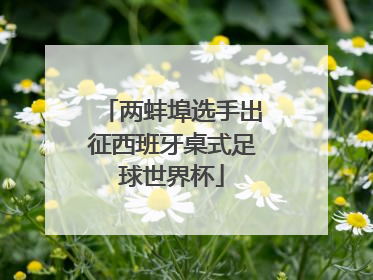 两蚌埠选手出征西班牙桌式足球世界杯