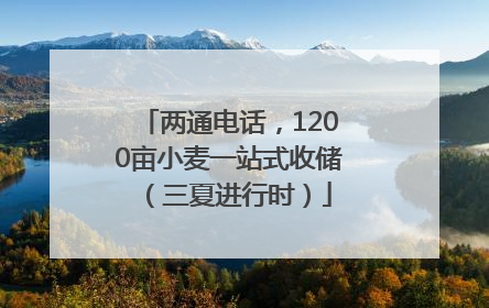 两通电话，1200亩小麦一站式收储（三夏进行时）