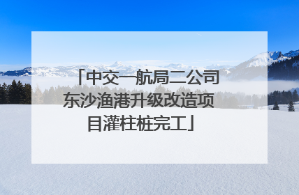 中交一航局二公司东沙渔港升级改造项目灌柱桩完工