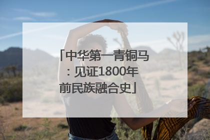 中华第一青铜马：见证1800年前民族融合史