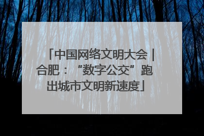 中国网络文明大会｜合肥：“数字公交”跑出城市文明新速度