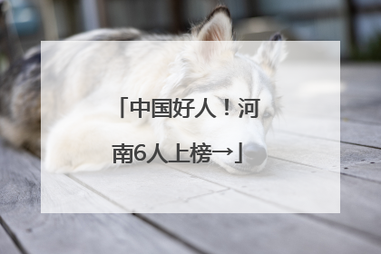 中国好人！河南6人上榜→