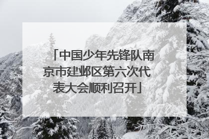 中国少年先锋队南京市建邺区第六次代表大会顺利召开