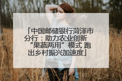中国邮储银行菏泽市分行：助力农业创新 “果蔬两用”模式 跑出乡村振兴加速度