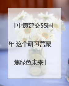 中意建交55周年 这个研习营聚焦绿色未来