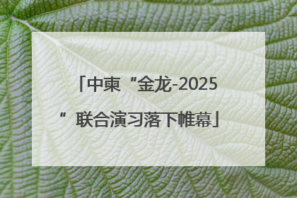 中柬“金龙-2025”联合演习落下帷幕