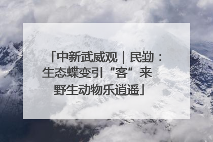 中新武威观｜民勤：生态蝶变引“客”来 野生动物乐逍遥