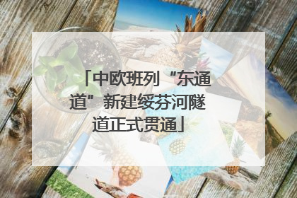中欧班列“东通道”新建绥芬河隧道正式贯通