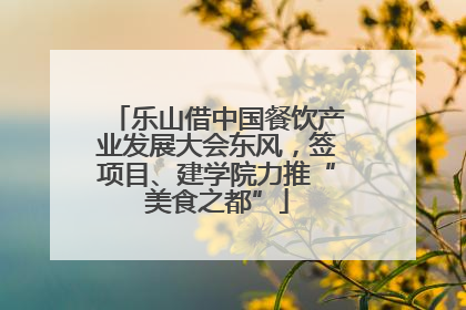乐山借中国餐饮产业发展大会东风，签项目、建学院力推“美食之都”